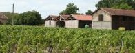 Dépendances d&#39;un grand domaine viticole - Le Pian-Médoc - JPG - 495 ko