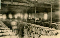 Les chais de La Maqueline construits pour le vin de palus